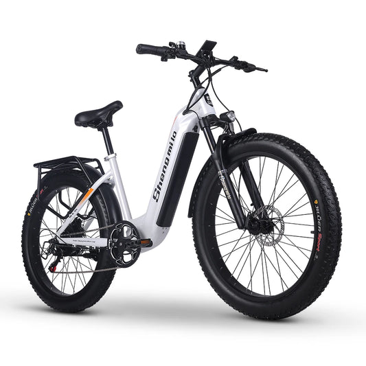 1000W Electric Bicycle